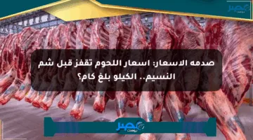 صدمة الأسعار: أسعار اللحوم تقفز قبل شم النسيم.. الكيلو بلغ كام؟